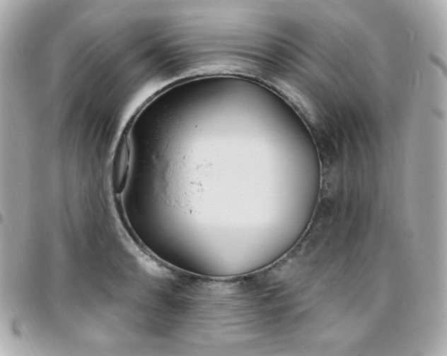 X0000096431086200801241333
