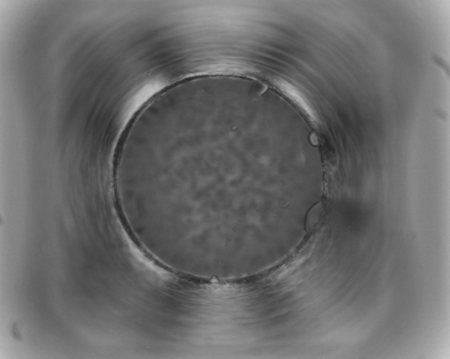 X0000096431087200801241333