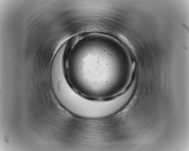 X0000096431089200801241333