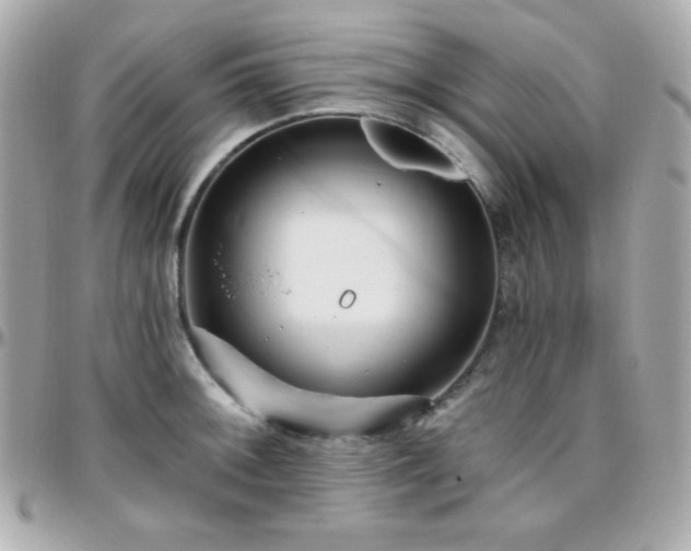 X0000096431092200801241333