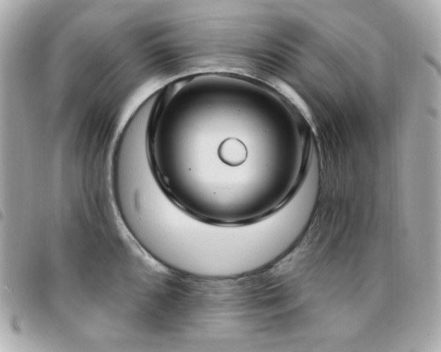 X0000096431096200801241333