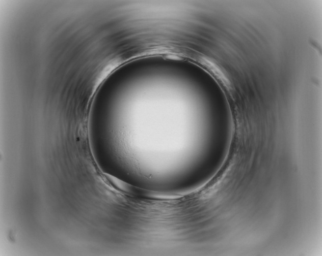 X0000096431097200801241333