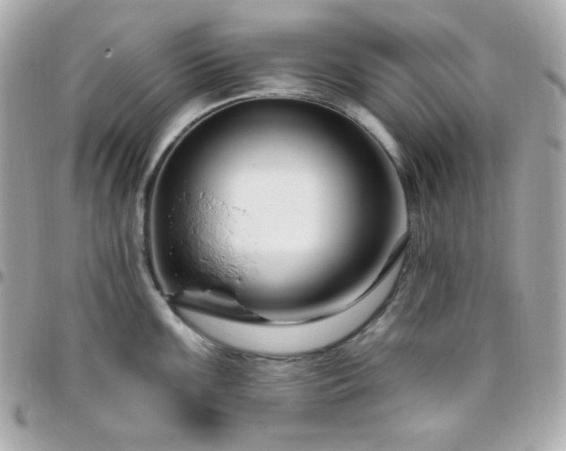 X0000096431099200801241333