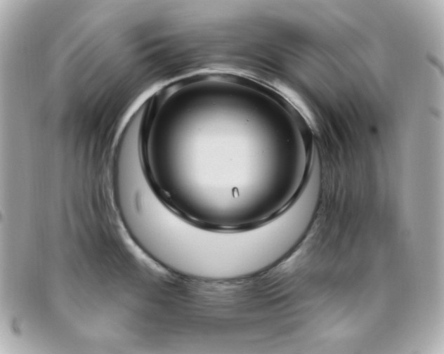 X0000096431100200801241333
