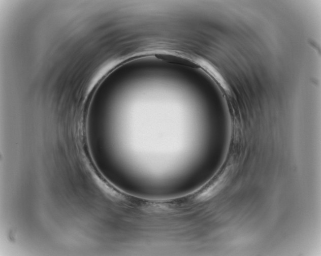 X0000096431101200801241333