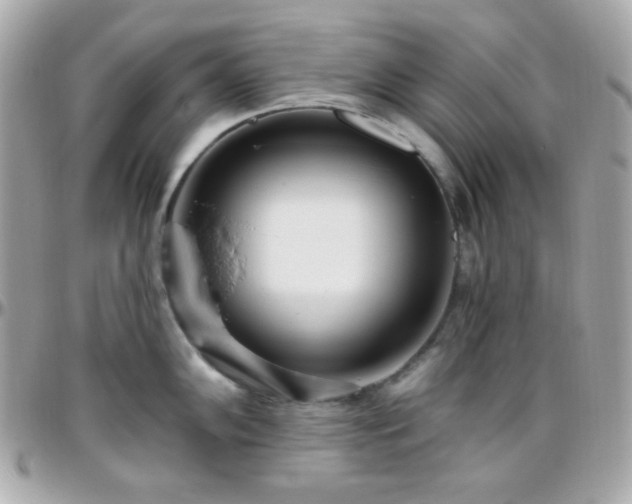X0000096431102200801241333