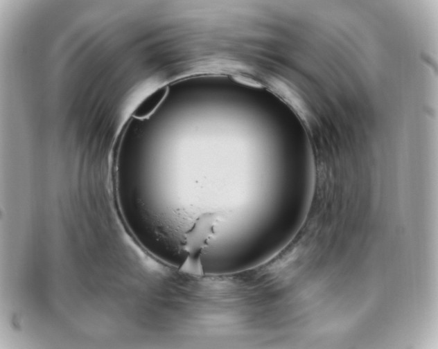 X0000096431103200801241333