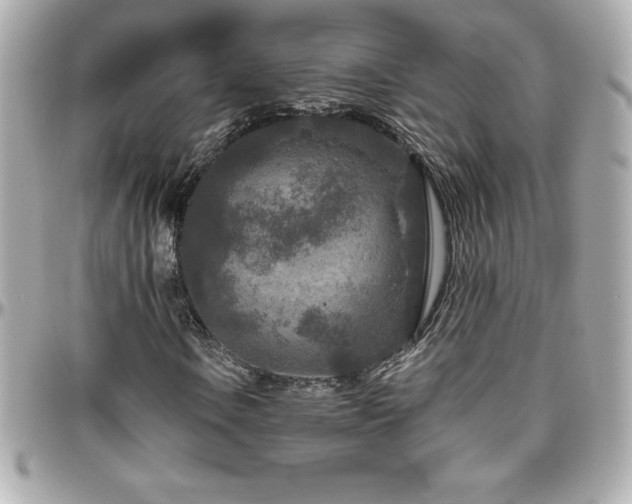 X0000096431106200801241332
