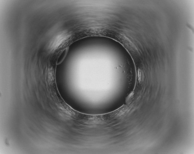 X0000096431107200801241332