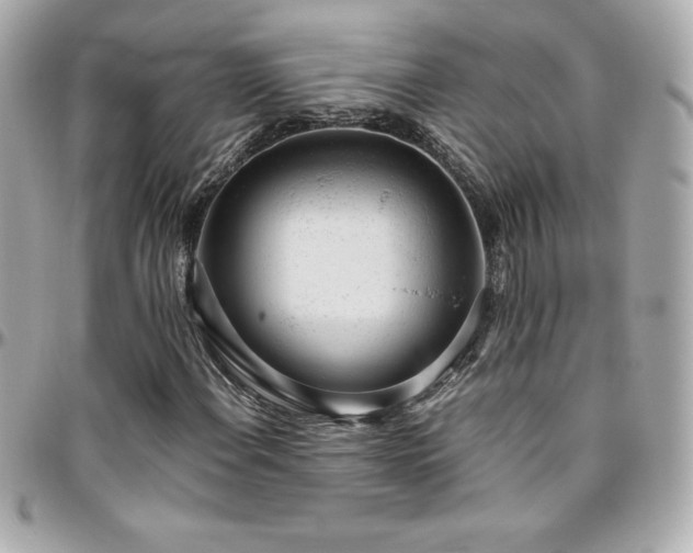 X0000096431108200801241332