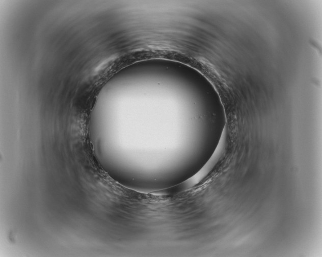 X0000096431110200801241332
