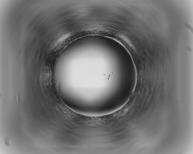 X0000096431111200801241332