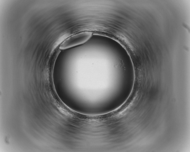 X0000096431114200801241332
