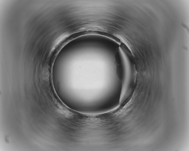 X0000096431115200801241332