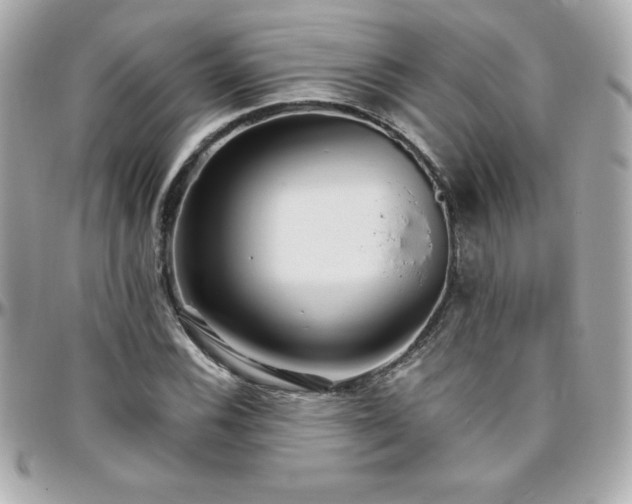 X0000096431116200801241332