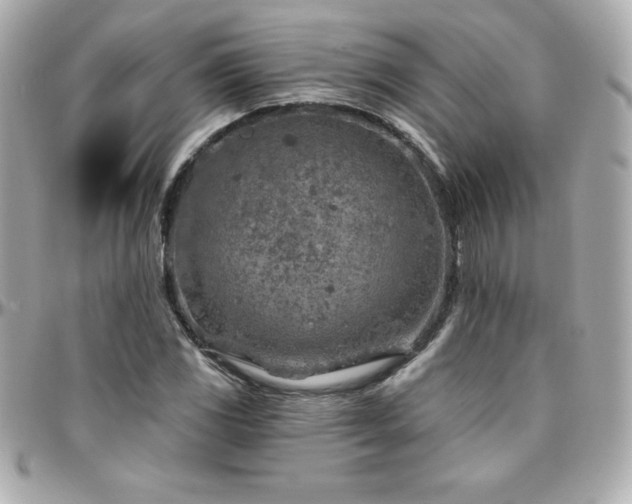 X0000096431117200801241332