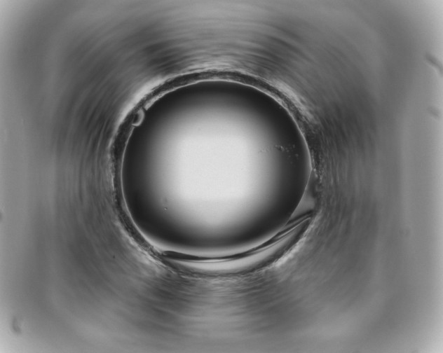 X0000096431118200801241332