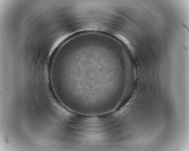 X0000096431120200801241333
