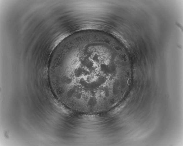 X0000096431121200801241333