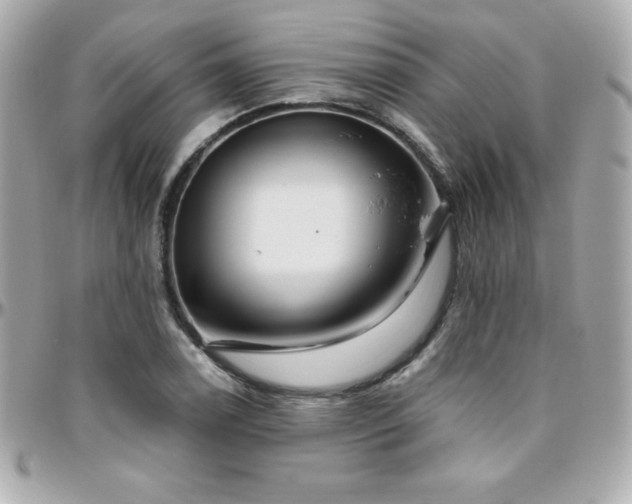 X0000096431122200801241333