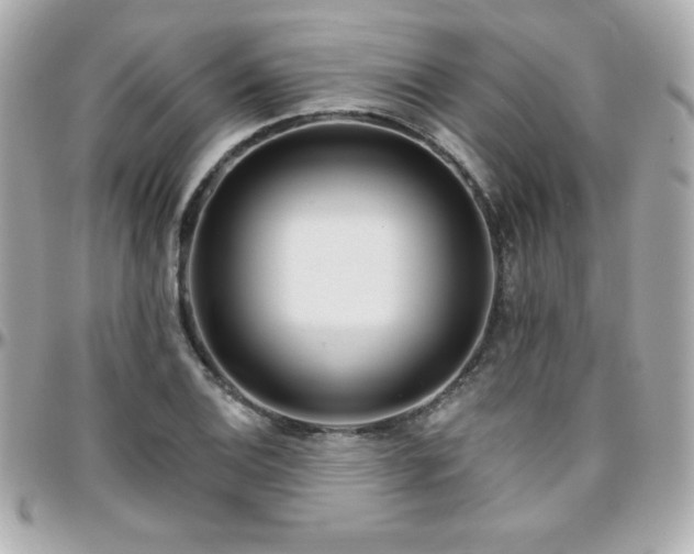 X0000096431124200801241333