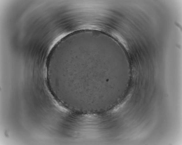 X0000096431125200801241333