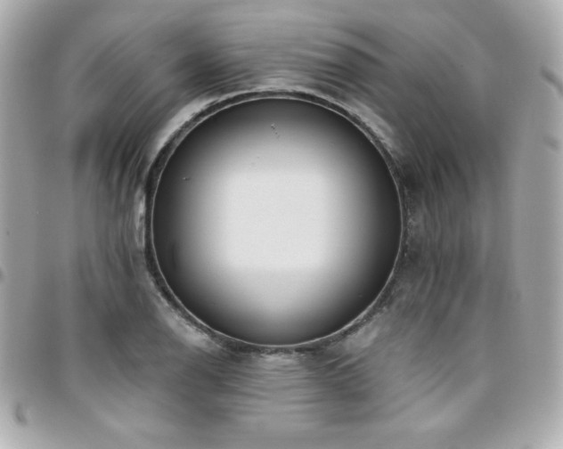 X0000096431126200801241333