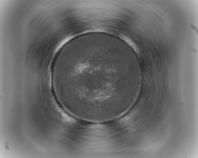 X0000096431127200801241333