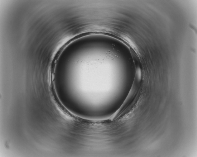 X0000096431128200801241333