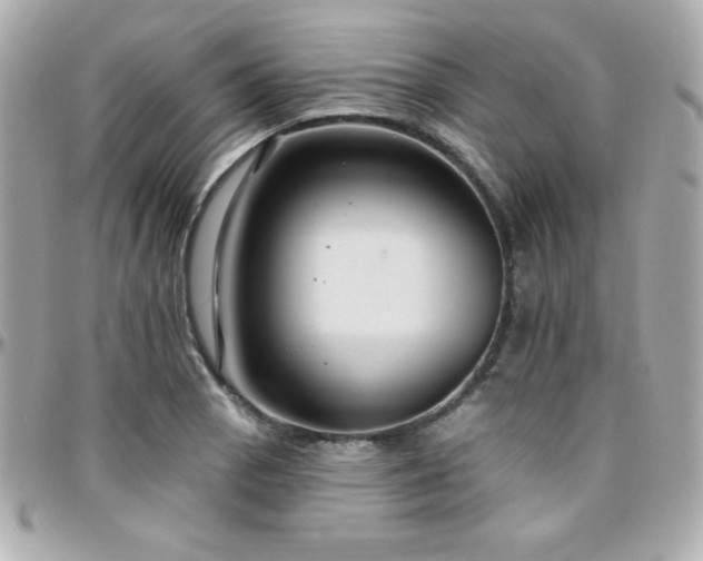 X0000096431129200801241333