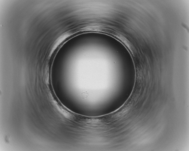 X0000096431131200801241333