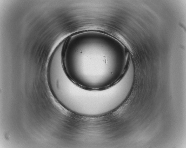 X0000096431132200801241333