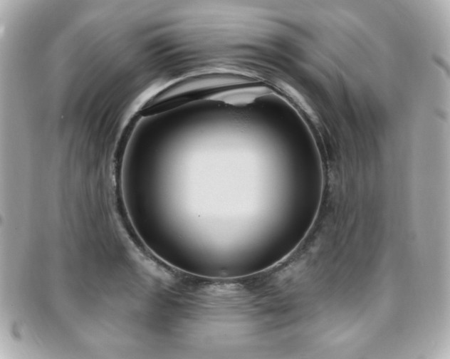 X0000096431133200801241333