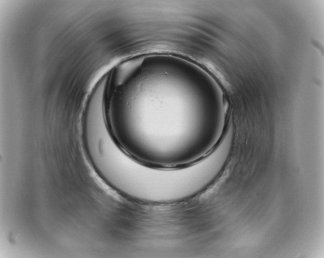 X0000096431134200801241333