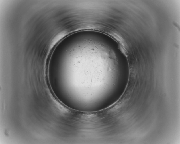 X0000096431135200801241333