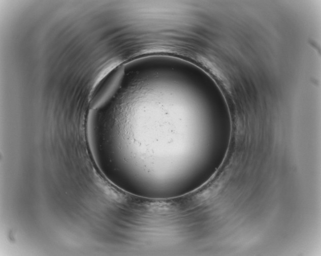 X0000096431137200801241333