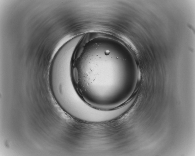 X0000096431138200801241333