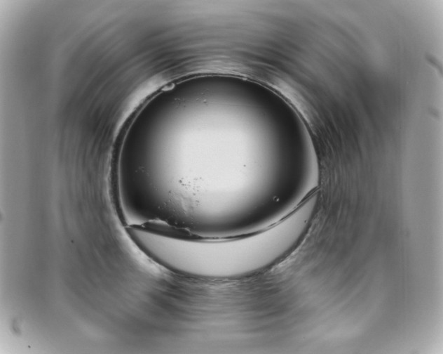 X0000096431139200801241333