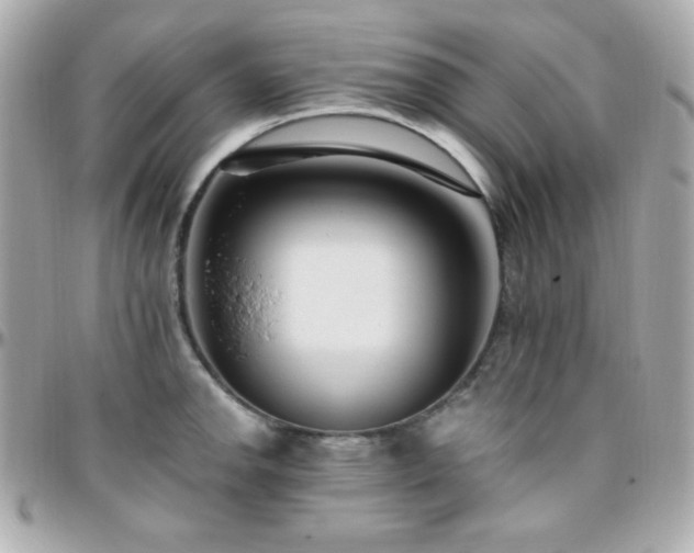 X0000096431142200801241333