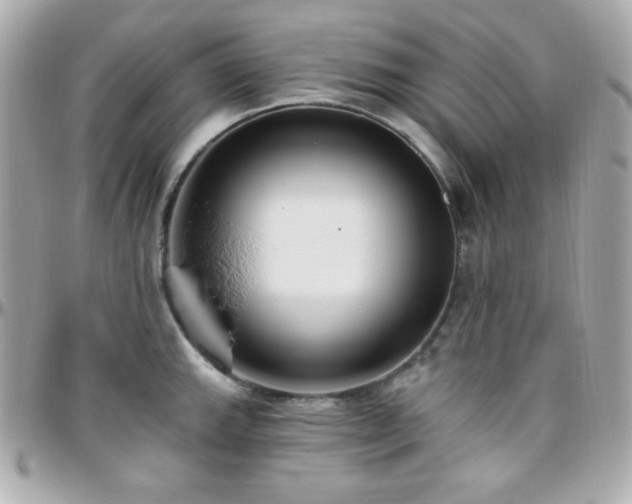 X0000096431143200801241333
