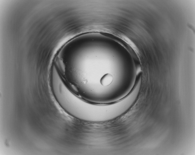 X0000096431144200801241333