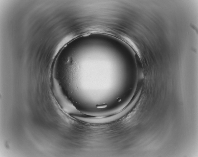 X0000096431146200801241333