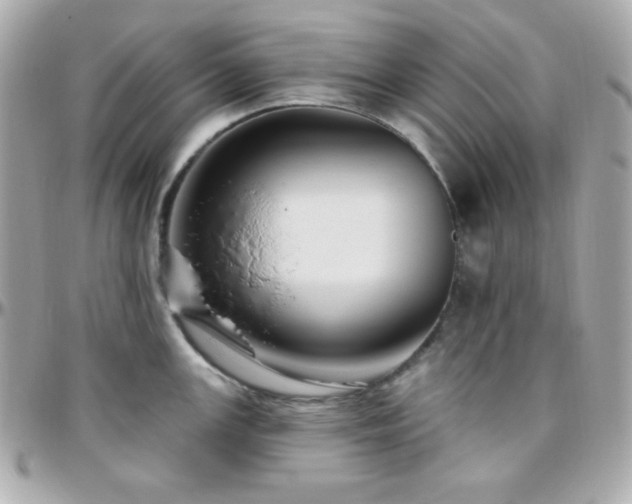 X0000096431147200801241333