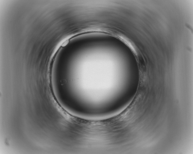 X0000096431148200801241333