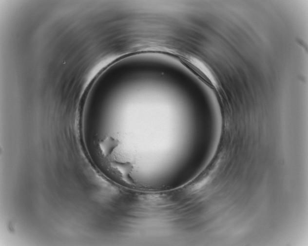 X0000096431149200801241333