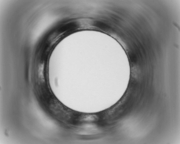 X0000096431150200801241333