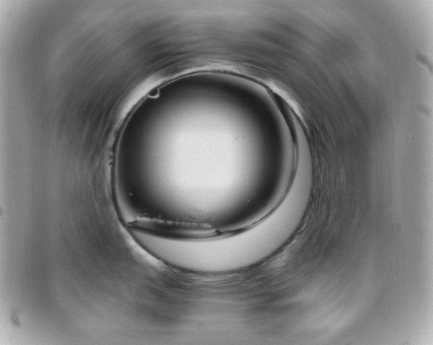 X0000096431151200801241333