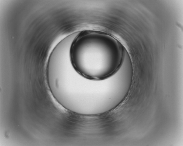 X0000096431152200801241333