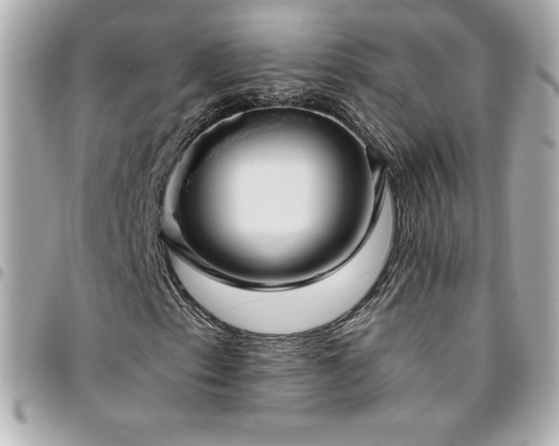 X0000096431153200801241332