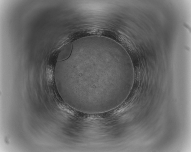 X0000096431154200801241332